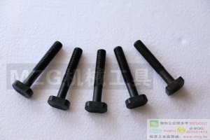 8.8級(jí)高強(qiáng)度T型螺絲