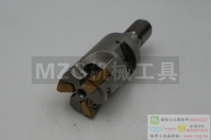 進(jìn)口機(jī)夾式小徑直角臺(tái)肩立銑刀桿RT07/10R裝法國Safety刀片RT..