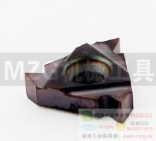 22ER/IR N60/55/3.5/4.0/4.5/5.0ISO螺紋刀片MZG不銹鋼