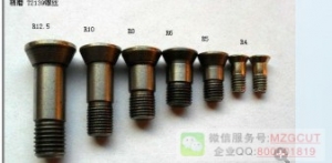 T2139機夾式半圓精銑刀桿用螺絲