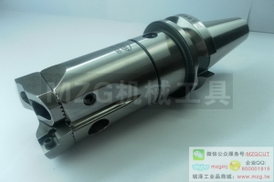 Stanny臺灣世邦雙刃粗搪孔刀頭,粗鏜刀夾,世邦粗搪刀柄